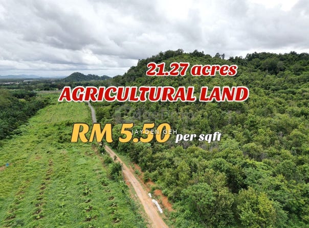 Pokok Sena, Kedah 6400
