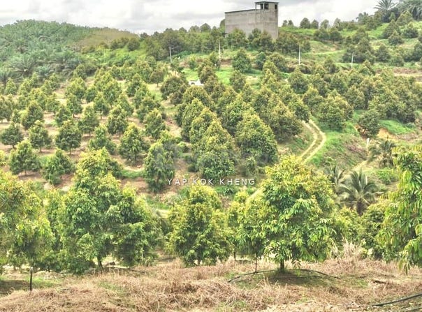 Jerantut, Pahang 27000