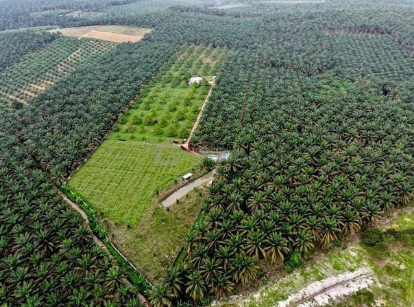 Kulai, Johor 81000