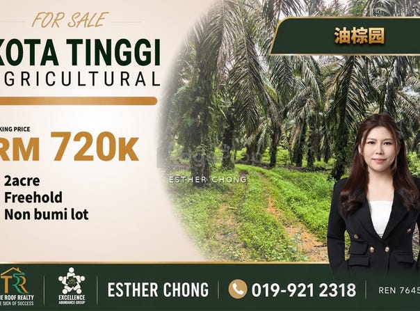 Kota Tinggi, Johor 81900