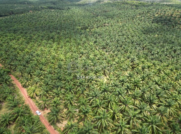 Sungai Petani, Kedah 8000