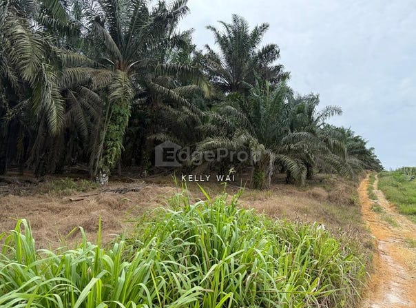Kulai, Johor 81000