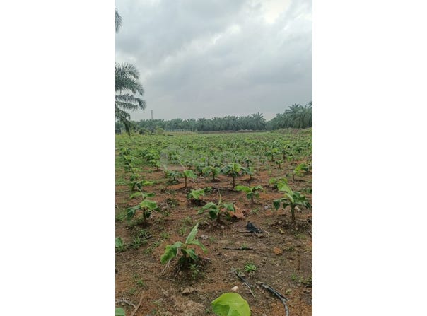Kampung Endah, Morib, Banting, Banting, Selangor 42700