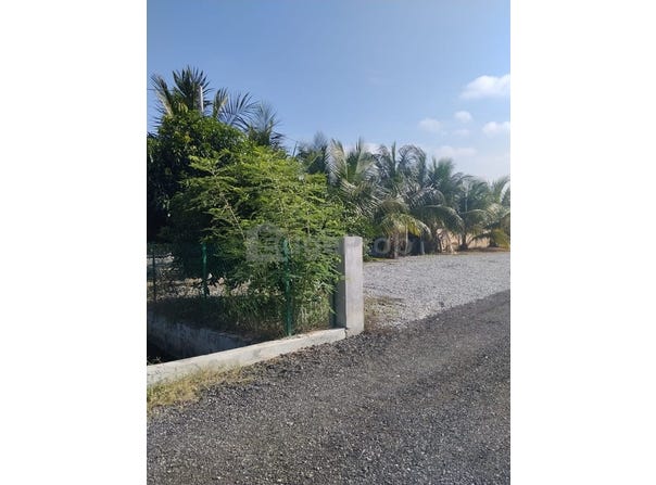 Banting, Selangor 42700