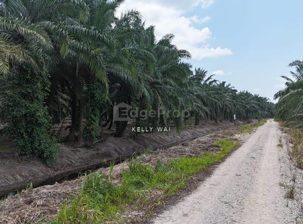 Pontian, Johor 82300