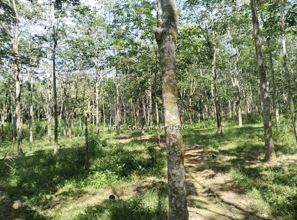 Batu Gajah, Perak 31800