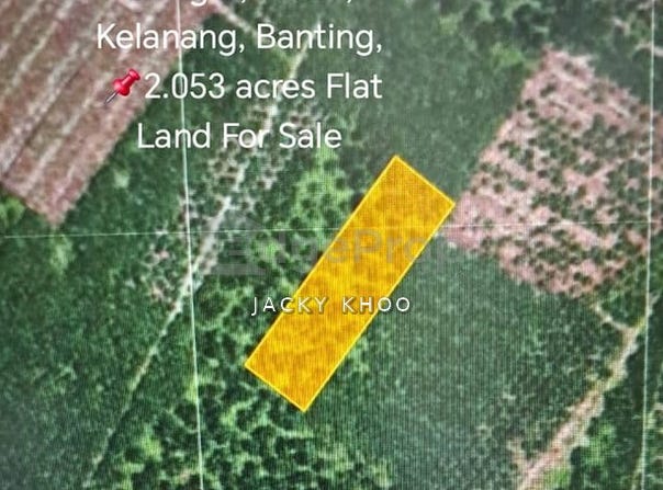 Banting, Selangor 42700