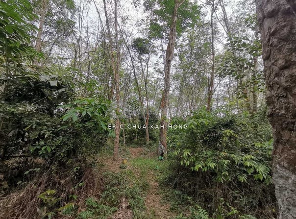 jalan kuala slim- felda gunung besout, Muallim, Perak 35800