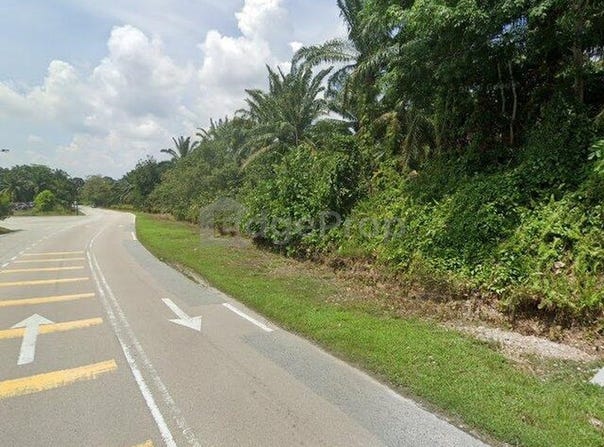 Pekan Nanas, Johor 81500