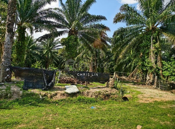 Jalan Tenggiri, Tanjong Sepat, Selangor