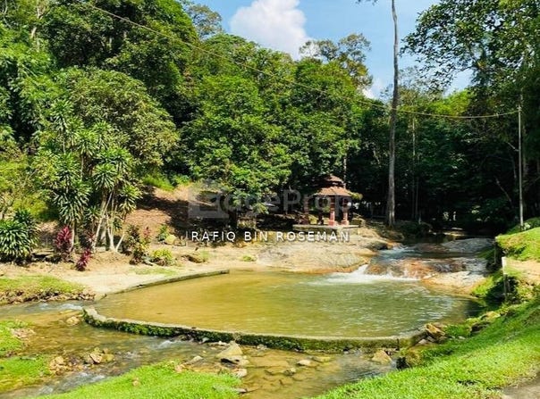 Batu Caves, Selangor