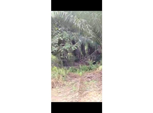 Telok Panglima Garang, Selangor 42500