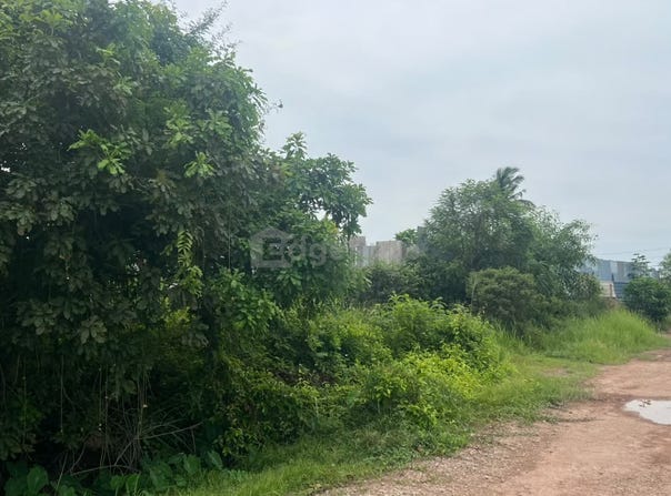 Tasek Gelugor, Penang 13100