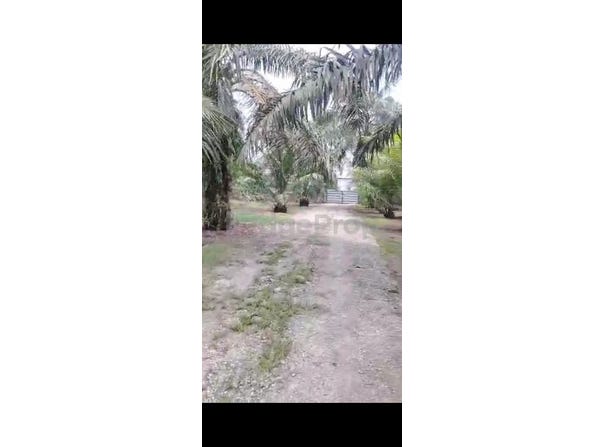 Banting, Selangor 42700