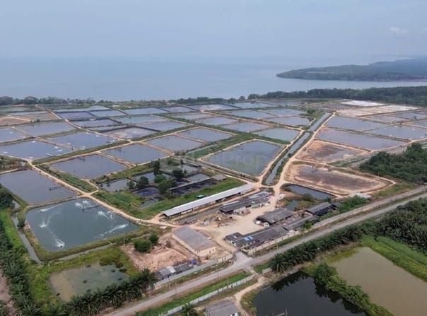Batu Pahat, Johor Bahru, Batu Pahat, Johor