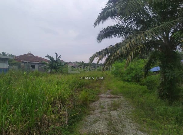 Banting, Selangor 42700
