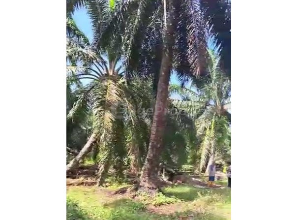 Jenjarom, Selangor 42600