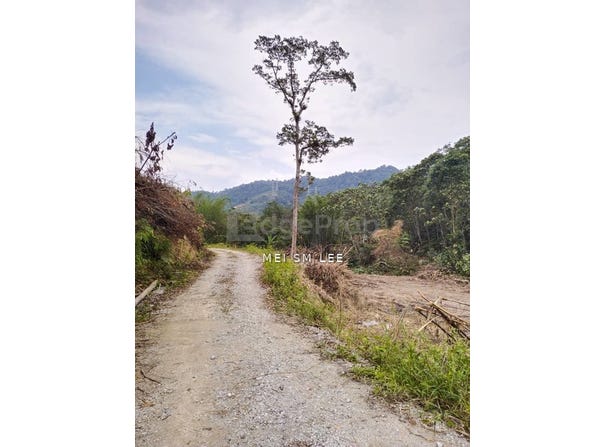 Batang Kali, Selangor 44300