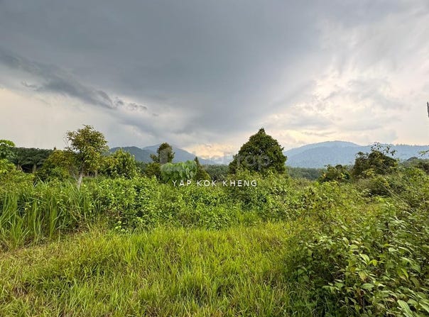 Kuala Kangsar, Perak 31100