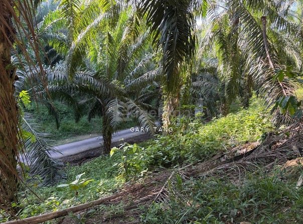 sungai siput, Kuala Kangsar, Perak 31100