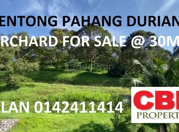 Bentong, Pahang 28700
