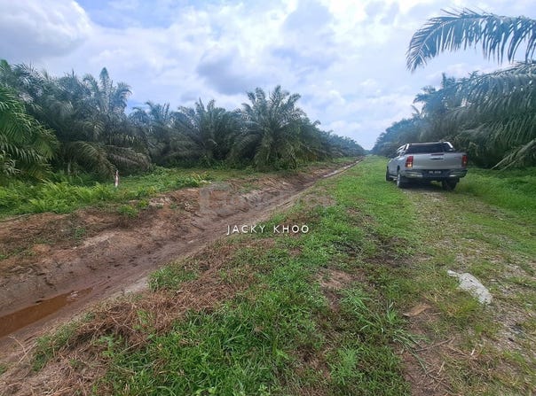 Banting, Selangor 42700