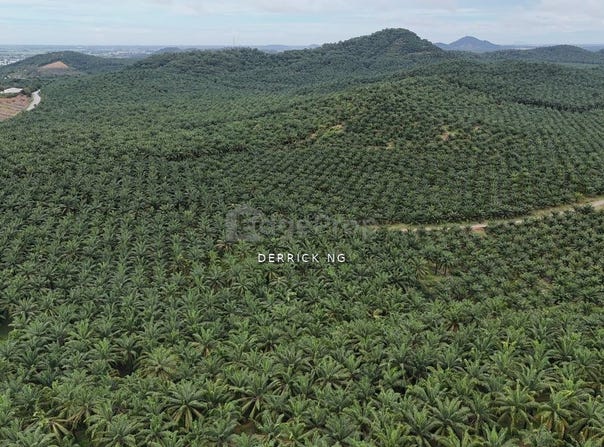 Kuala Muda, Kedah 06720