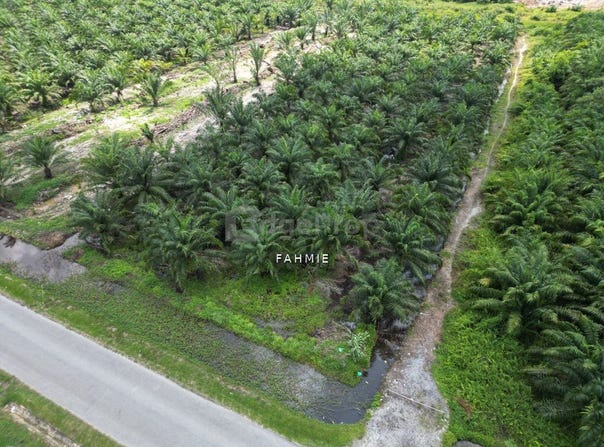 Banting, Selangor 42700