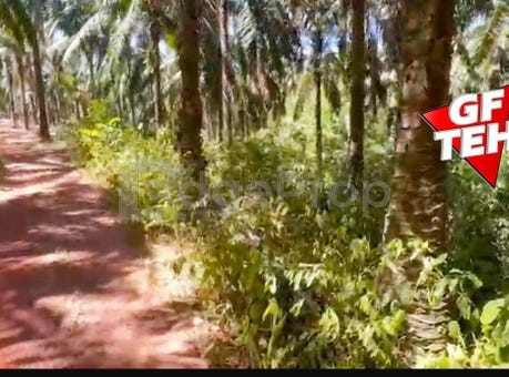 Sungai Petani, Kedah 8000