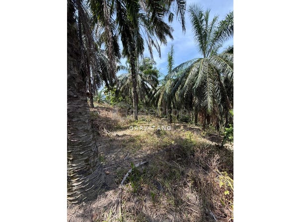 sungai siput, Kuala Kangsar, Perak 31100