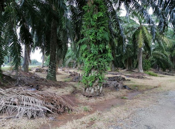 Sepang, Selangor, Sepang, Selangor 0