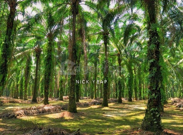 Sungai Buloh, Selangor 40160