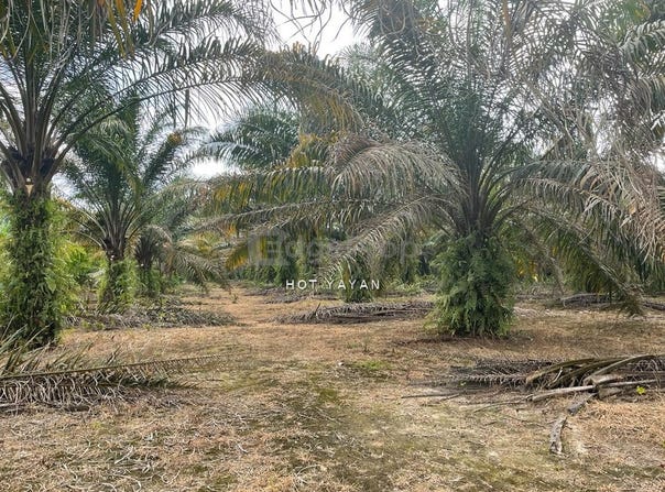 Sepang, Selangor 43900