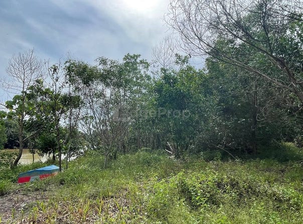 Kampung Nyior Paka, Dungun, Terengganu 23000