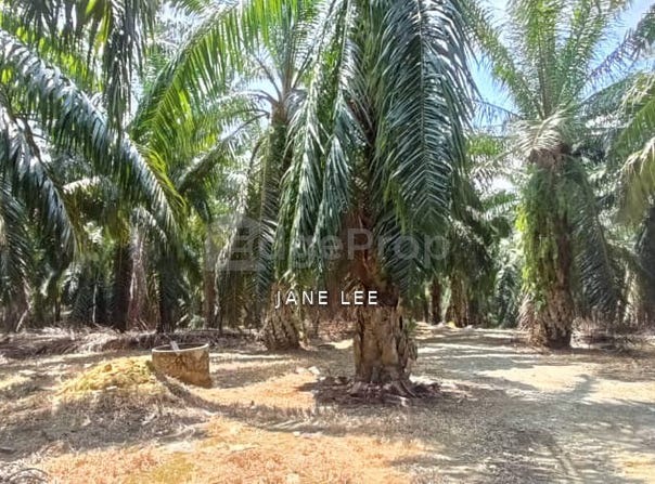 Parit, Perak 32800