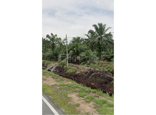 Pontian, Johor 82300