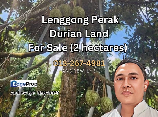 Hulu Perak, Perak