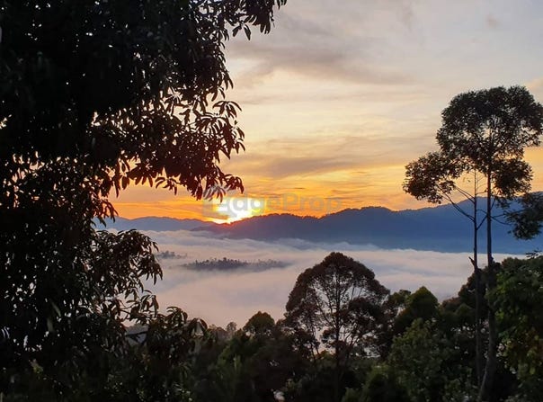 Jalan Kampung, Bentong, Pahang 28750