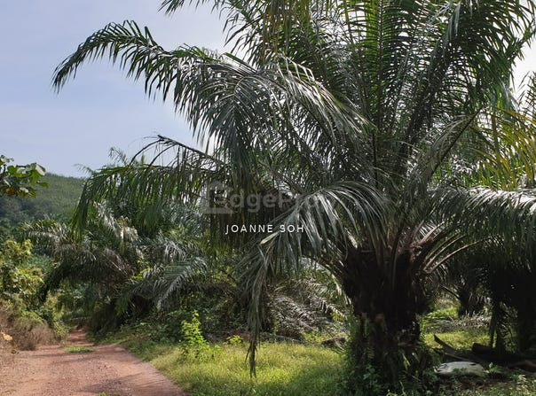 Kuala Selangor, Selangor 45600