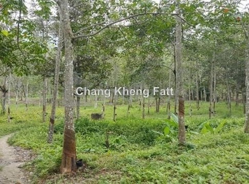Semenyih, Selangor