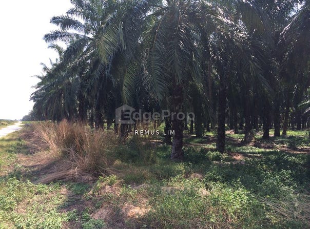 Telok Panglima Garang, Selangor 42500