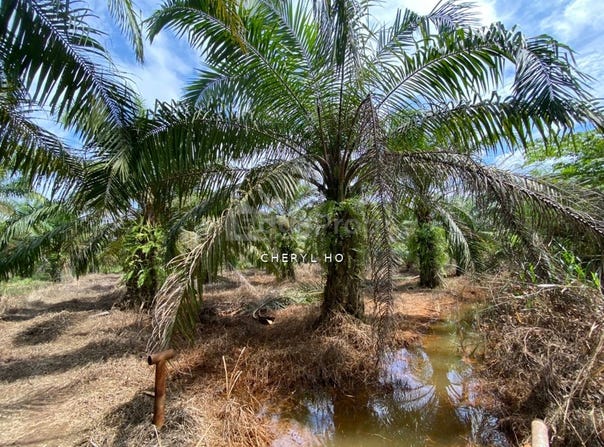 Kuala Langat, Selangor 42700