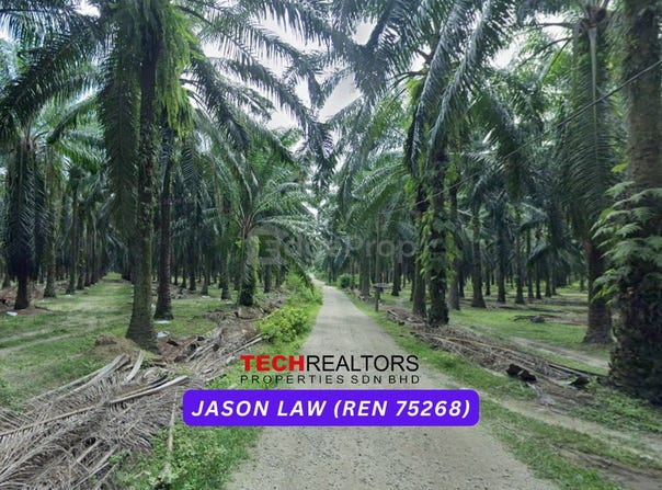 Bedong, Kedah 8100