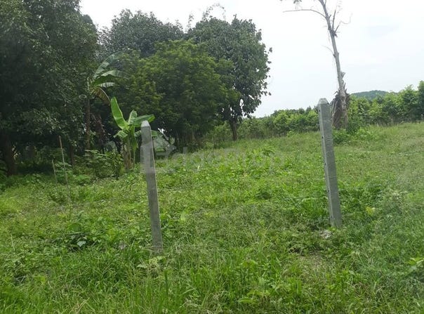 Jalan BBLS, Bangi, Selangor 43000
