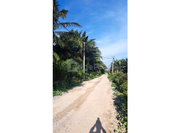 Banting, Selangor 42700