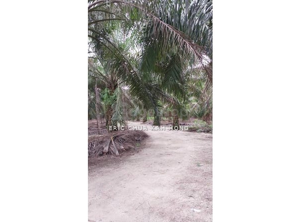 Batu Gajah, Perak 31550