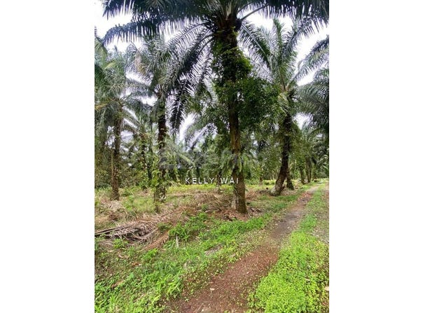 Pontian, Johor 82200