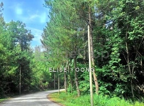 Bukit Tinggi, Bentong, Pahang 28750