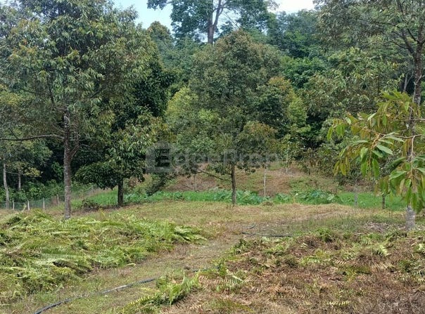 Bentong, Pahang 28700