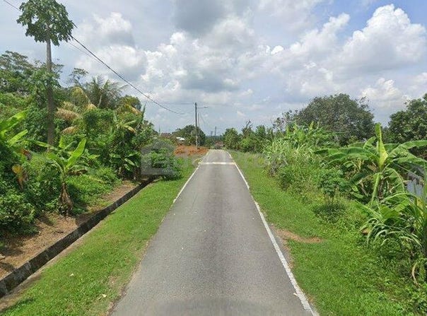 Pekan Nanas, Johor 81500